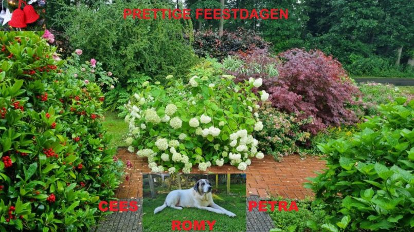 Kerstkaart algemeen.jpg