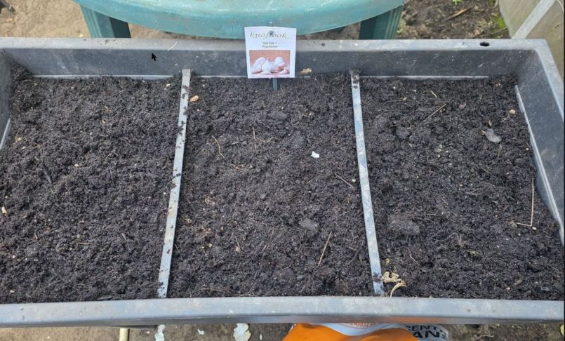 Rustisem knoflook.jpg