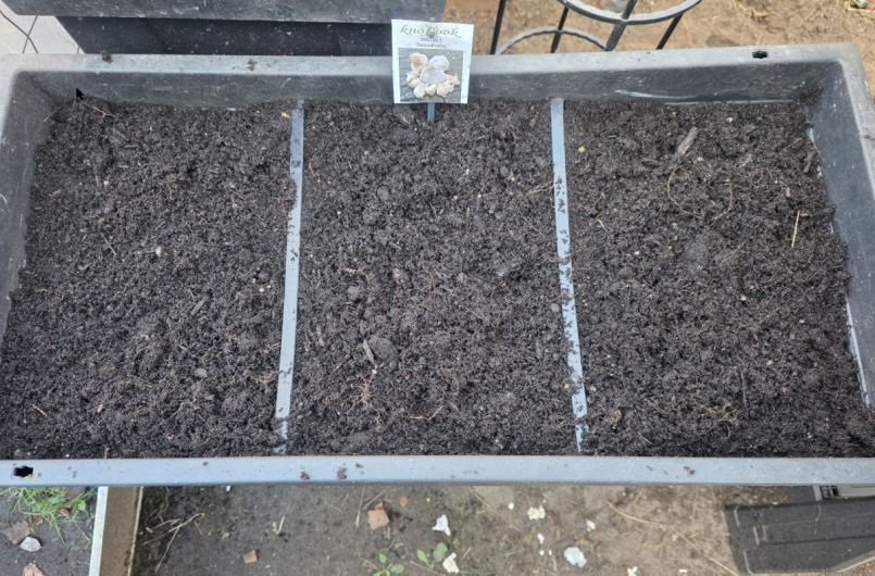 Sabadrome knoflook.jpg