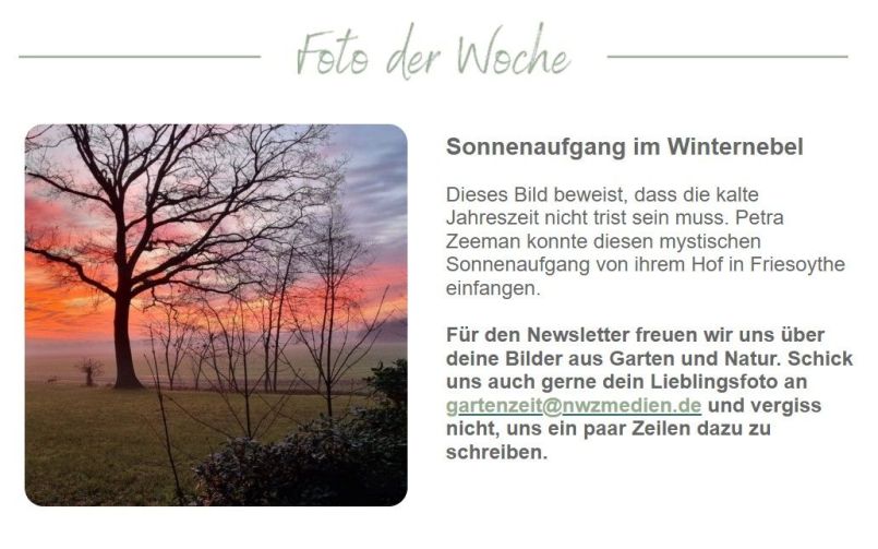 Sonnenaufgang 2025.jpg