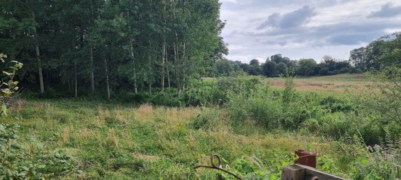 WhatsApp Image 2026-01-22 at 12.01.06 (1).jpeg