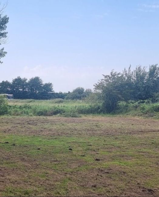 WhatsApp Image 2026-01-22 at 12.01.06.jpeg