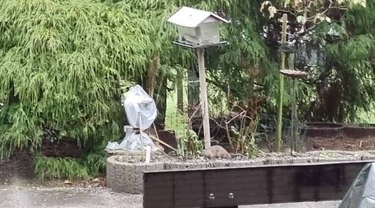 20260211_155947 klein.jpg