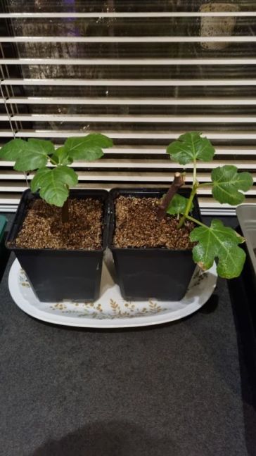 5142cd1a-b75c-47ee-959a-8bcd5ee70b97 (1).jpg