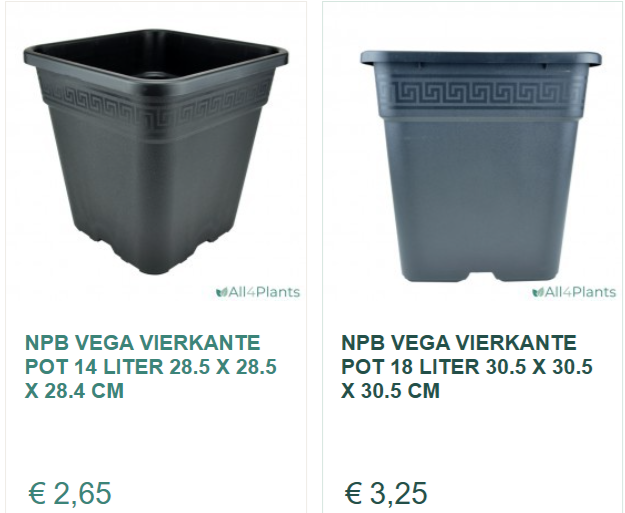 AllPlants_VierkantePotten.png