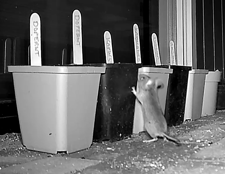 Screenshot 2026-02-23 123230.png