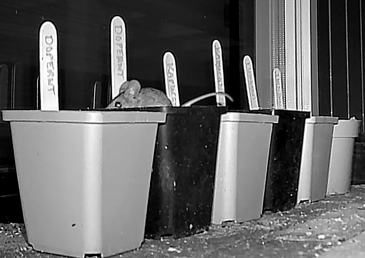 Screenshot 2026-02-23 123449.png