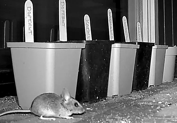 Screenshot 2026-02-23 123633.jpg