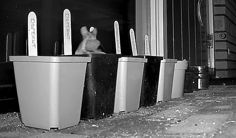 Screenshot 2026-02-23 123757.jpg