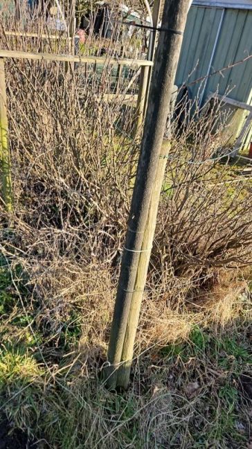 WhatsApp Image 2026-02-25 at 15.31.45.jpeg