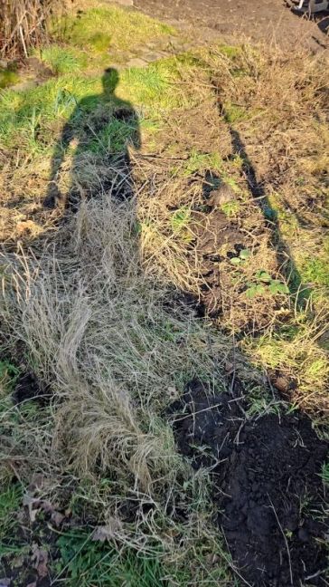 WhatsApp Image 2026-02-25 at 15.31.56.jpeg