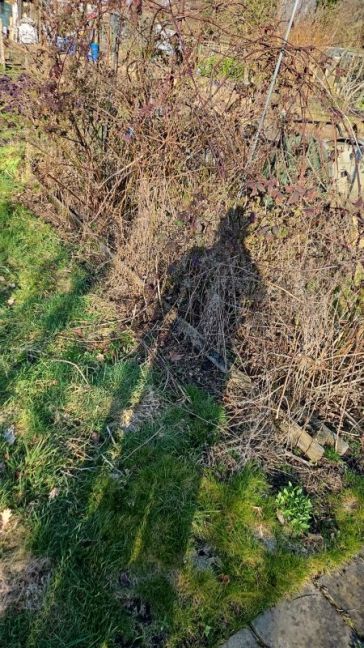 WhatsApp Image 2026-02-25 at 15.32.02.jpeg