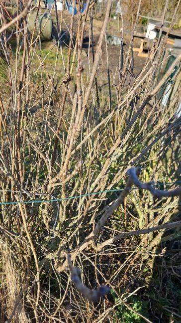 WhatsApp Image 2026-02-25 at 15.38.47.jpeg