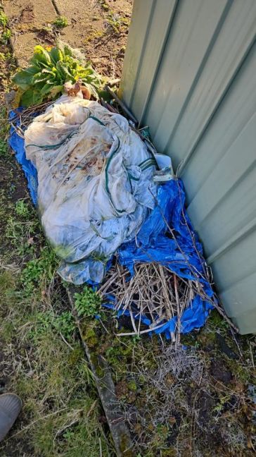 WhatsApp Image 2026-02-25 at 15.51.51.jpeg