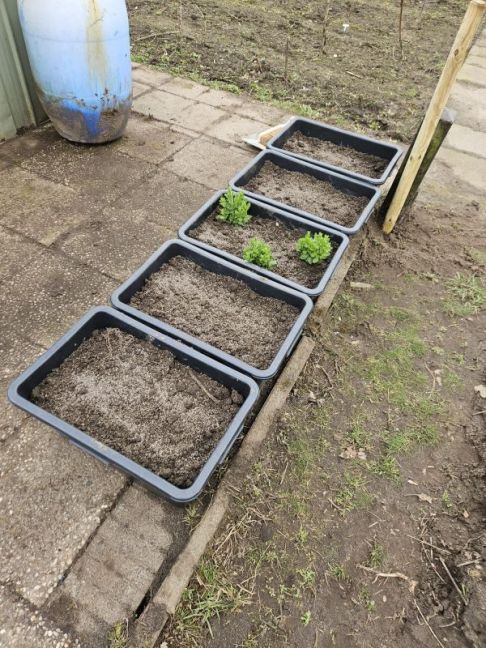 WhatsApp Image 2026-02-28 at 16.14.38(1).jpeg