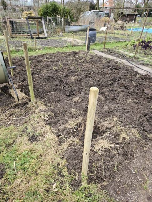 WhatsApp Image 2026-02-28 at 16.14.39(3).jpeg