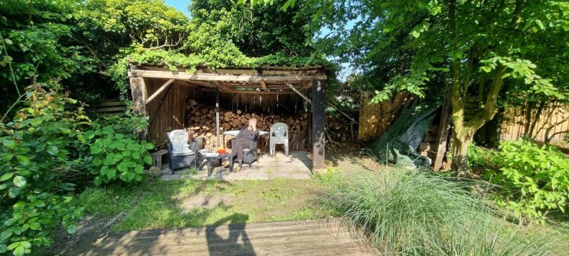 Chayotes groeien.jpg