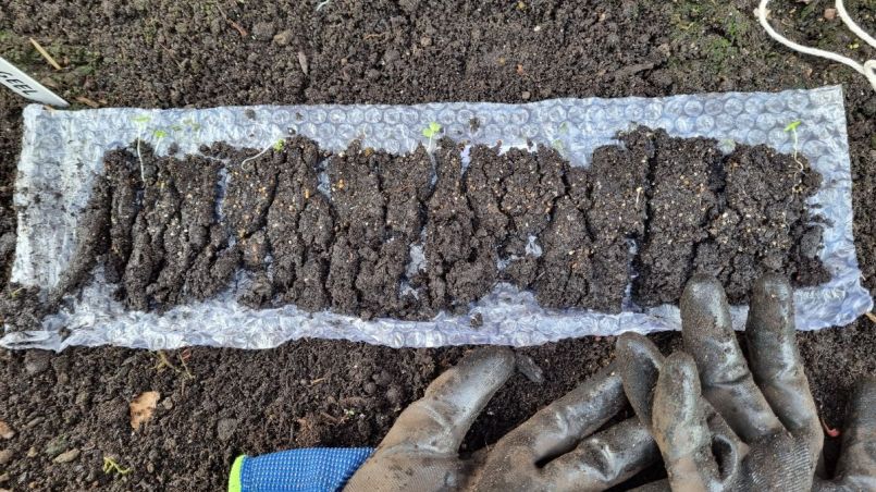 Foto 17 Veldsla uit de rol.jpg