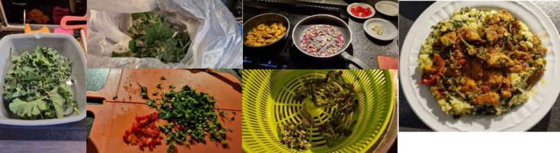 Foto 21 maaltijd.jpg