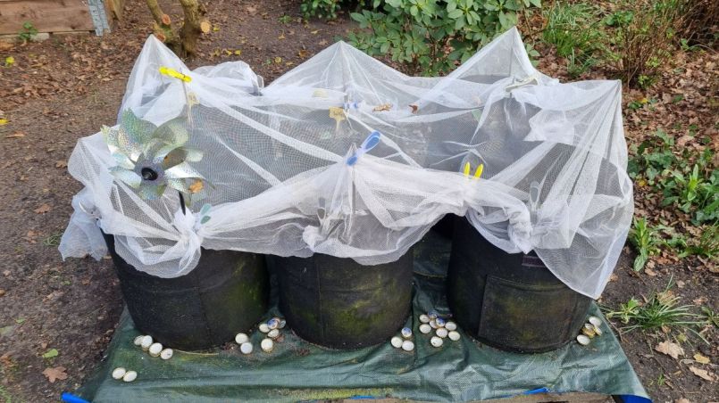 Foto 6 stokjes Giganten.jpg