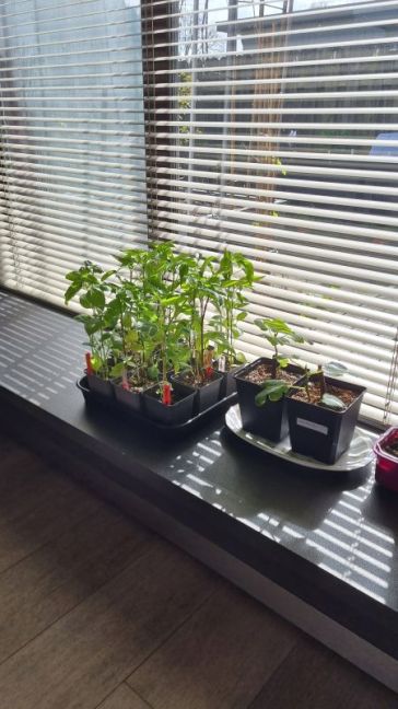 In kast tegen plafond.jpg