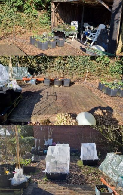 Ruimte voor kas maken.jpg