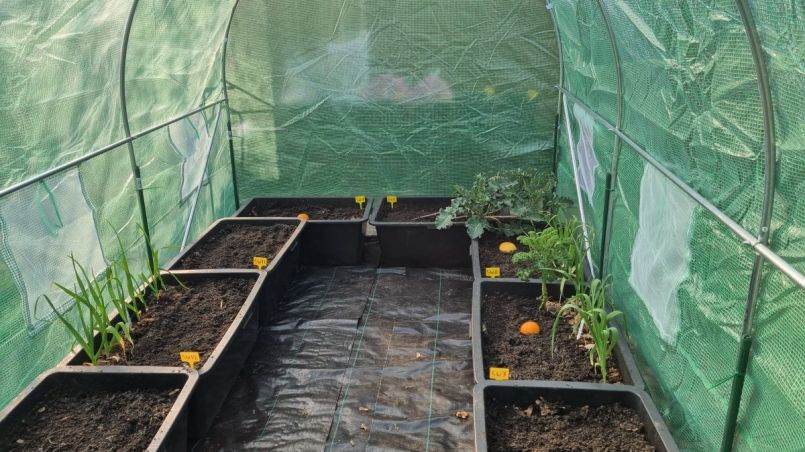 Sinaas en grapefruit erin.jpg