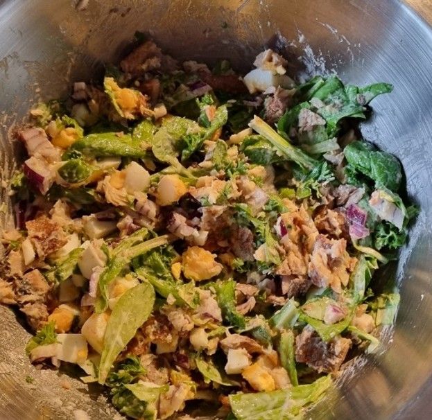 Veldsla met haring en rode ui.jpg