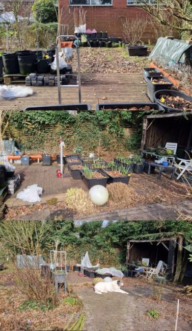 Voorbereiding kas2.jpg