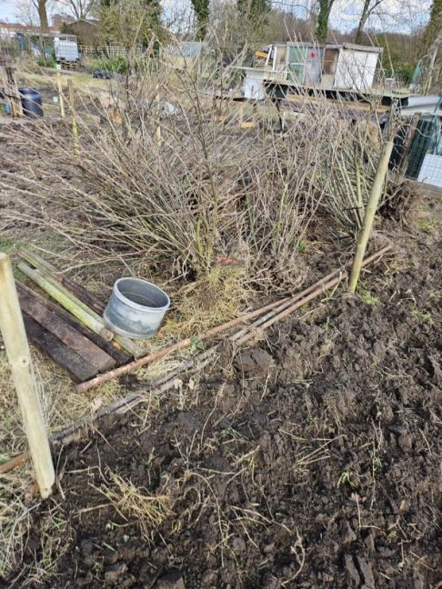 WhatsApp Image 2026-03-01 at 18.42.08(5).jpeg