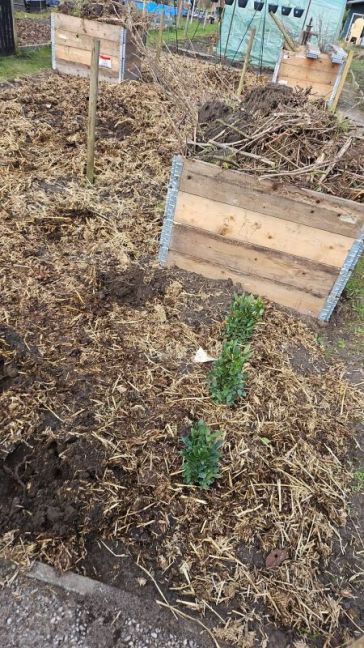 WhatsApp Image 2026-03-15 at 14.34.36(1).jpeg