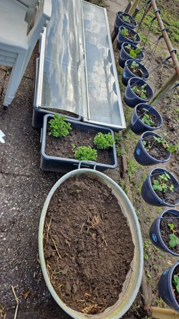 WhatsApp Image 2026-03-15 at 14.34.36.jpeg