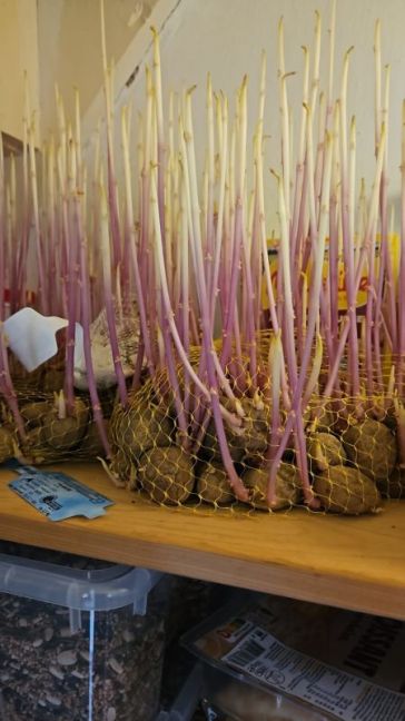 WhatsApp Image 2026-03-20 at 07.54.01.jpeg