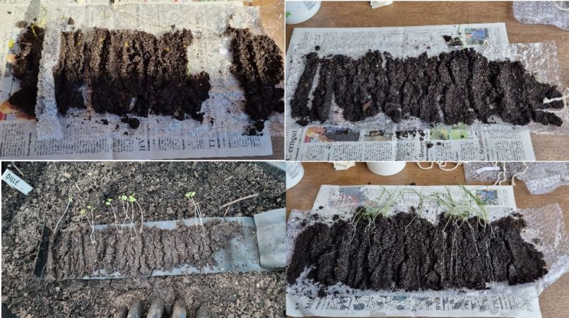 Zadenrollen samen.jpg