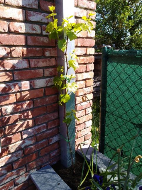 IMG-20180504-103911.jpg