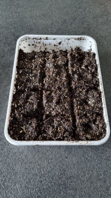 Project in bakje (1).jpg