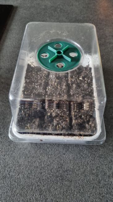 Project in bakje deksel.jpg