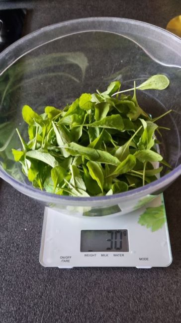 Rucola geoogst.jpg