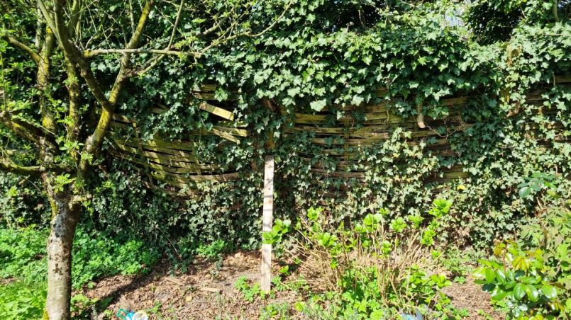 Schutting foto 1.jpg