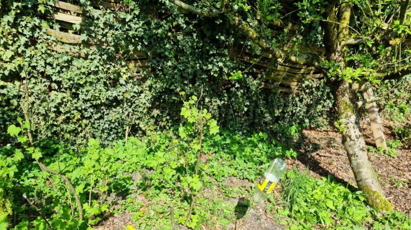 Schutting foto 3 links.jpg