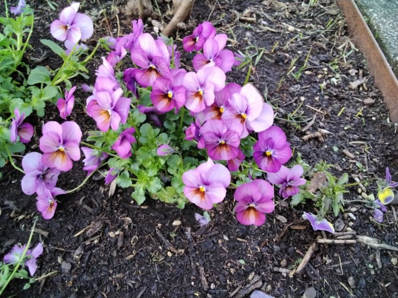 WhatsApp Image 2026-04-22 at 19.24.14.jpeg