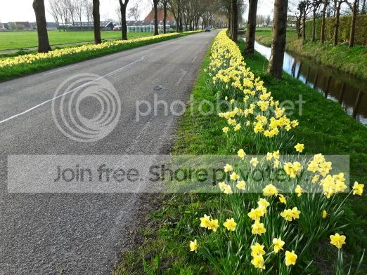 skearnegoutumlyts_zpsgnfy4sn5.webp
