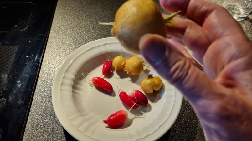 20260503_170057.jpg