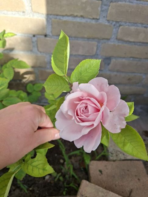 20260523_075410.jpg