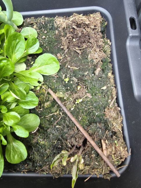 20260527_141608.jpg