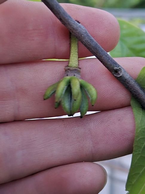 20260530_221433.jpg
