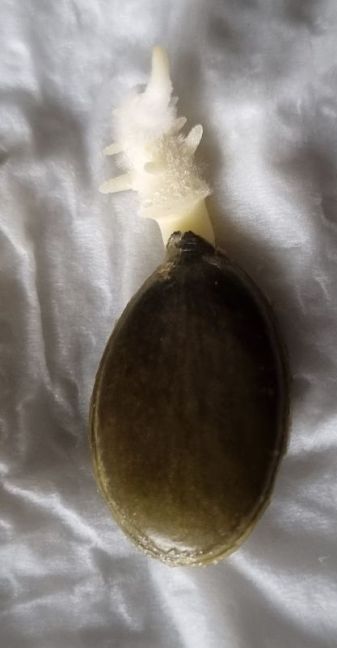 Foto 16 Gleisdorfer.jpg