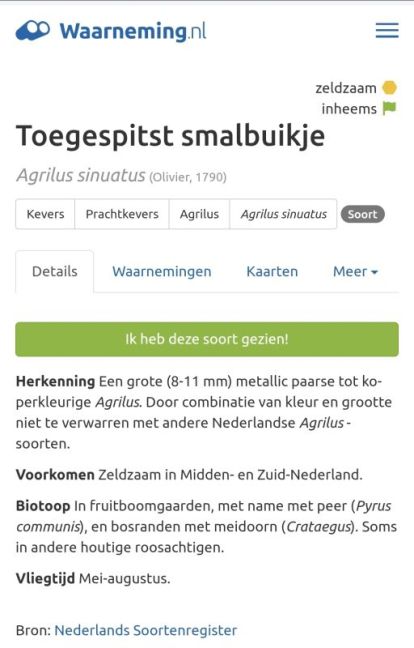 Screenshot_20260510_234115_Samsung Internet.jpg