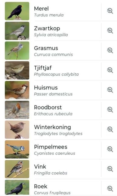 Screenshot_20260519-194955_Merlin Bird ID~2.png