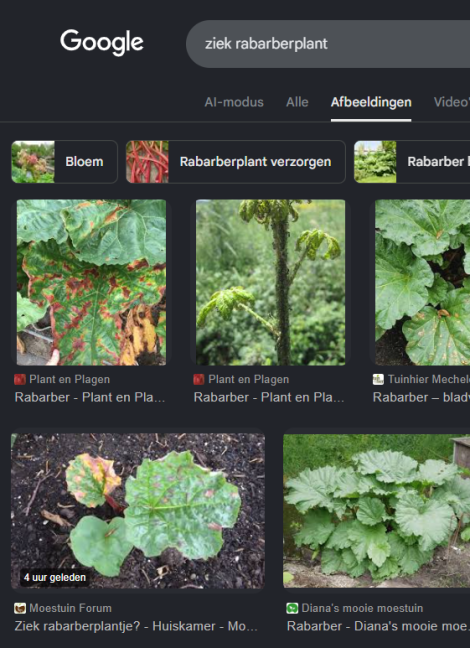 Google zoeken, nieuw afbeelding binnen een paar uur te zien.